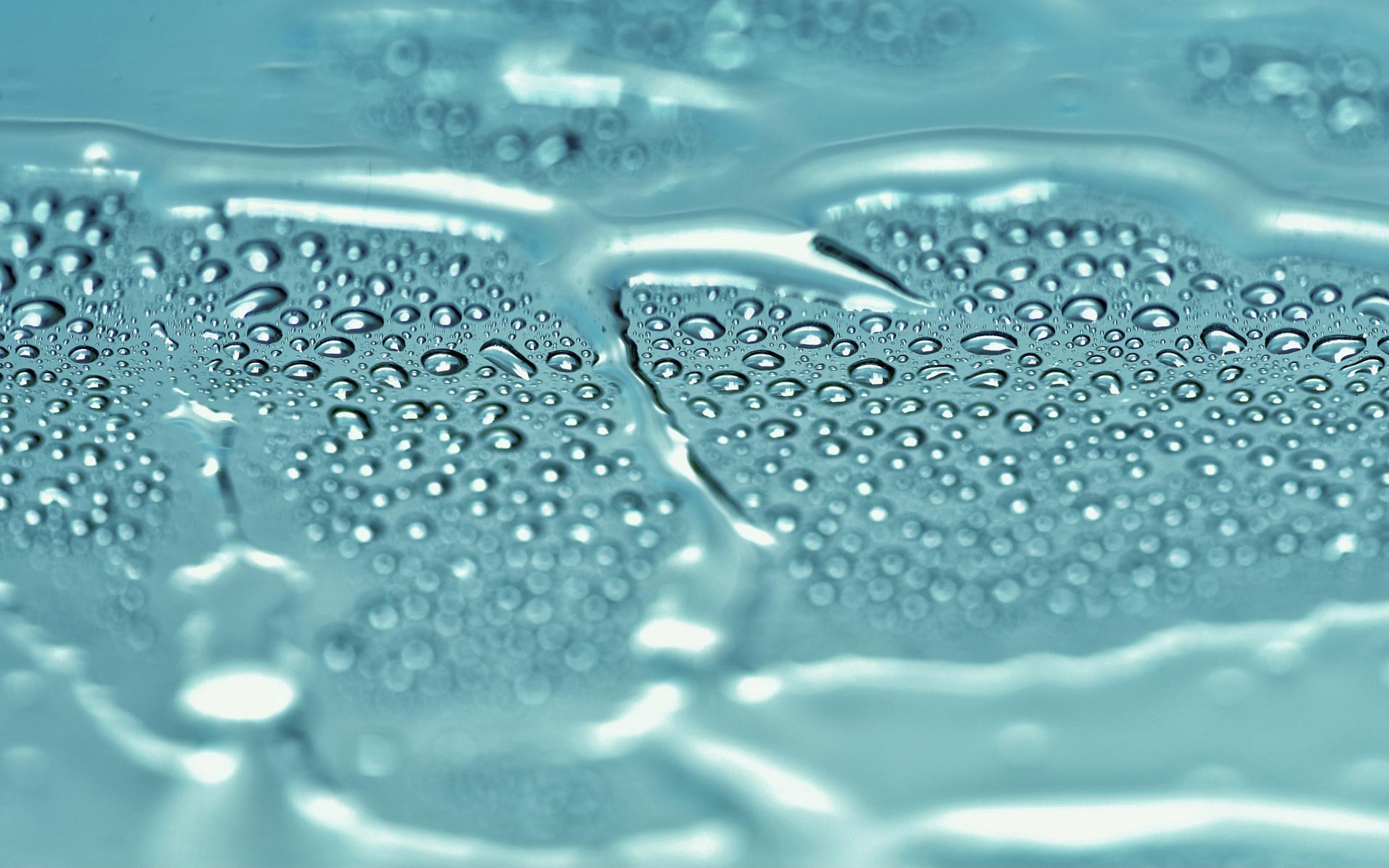 Elite Location 72 LavageAuto 5